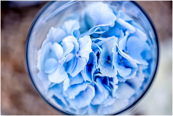 bright blue flowers