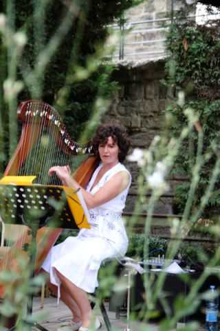 harpist carcassonne 