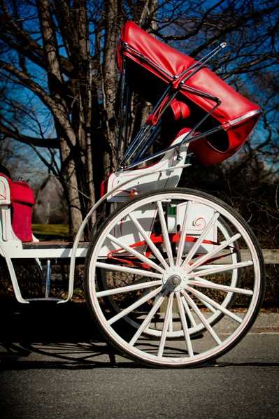 wedding carriage central park