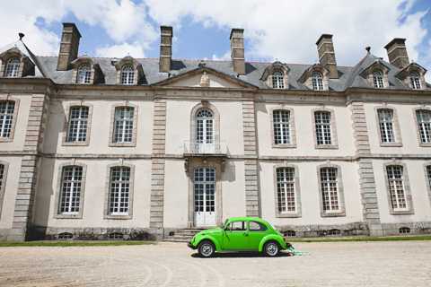 bright green beetle