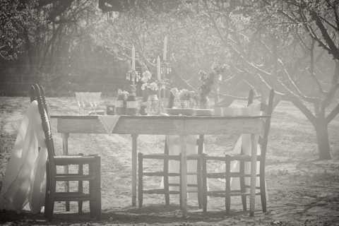 black and white shabby chic wedding