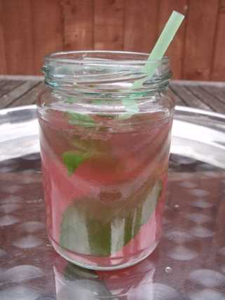 https://www.frenchweddingstyle.com/wp-content/uploads/2012/08/grapefruit-mojito-cocktail.jpg