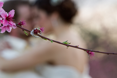 orchard wedding photographer