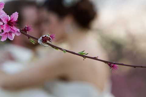 orchard wedding photographer