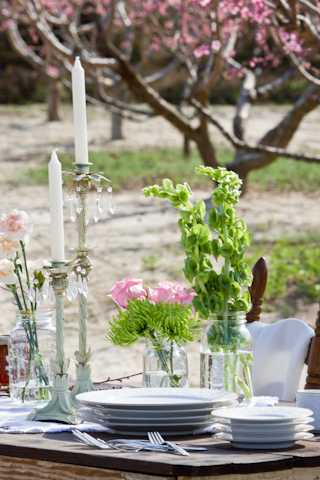 orchard wedding photoshoot