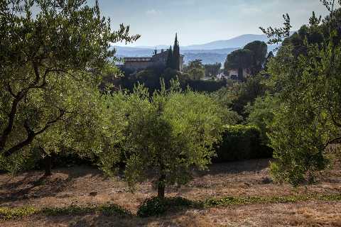 provence countryside