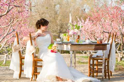 shabby chic orchard photo shoot