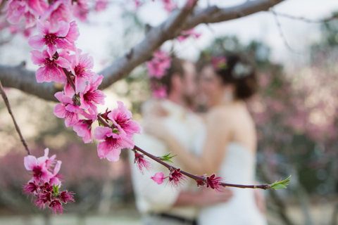 tree blossom wedding