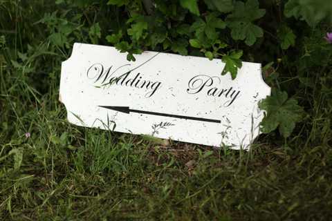 wedding party france