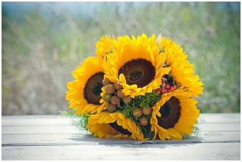 bridal sunflowers