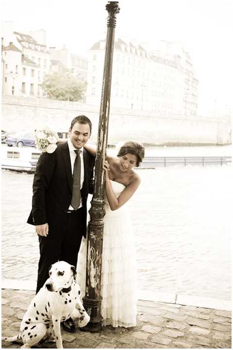 wedding dalmation