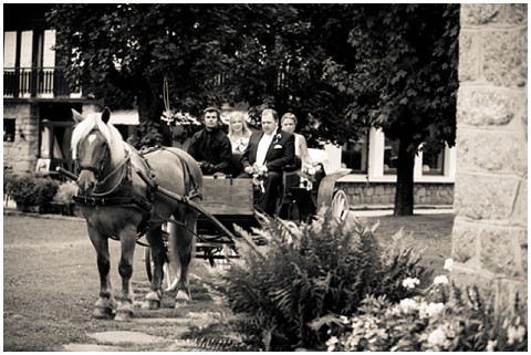 bridal horse and carriage