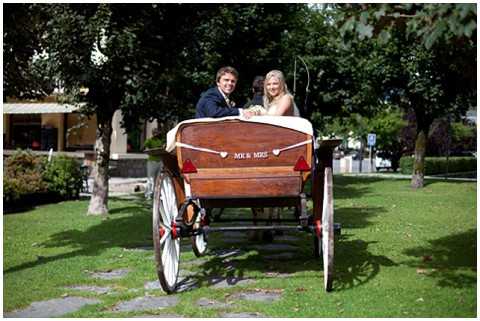 wedding horse and carriage