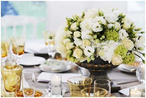 white and cream flowers