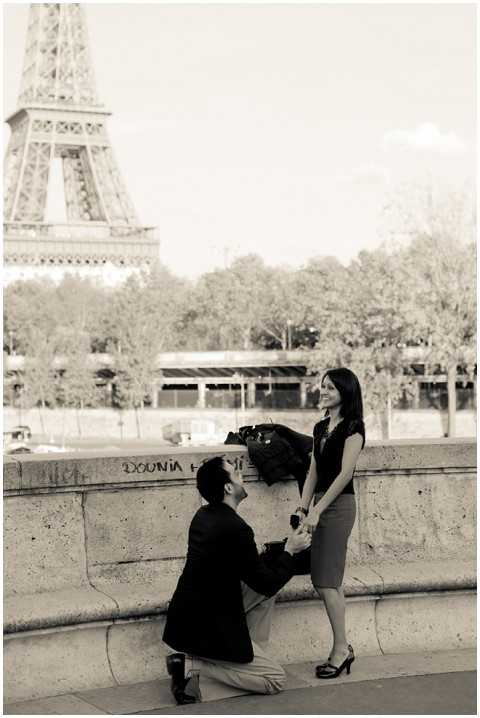 proposal in paris