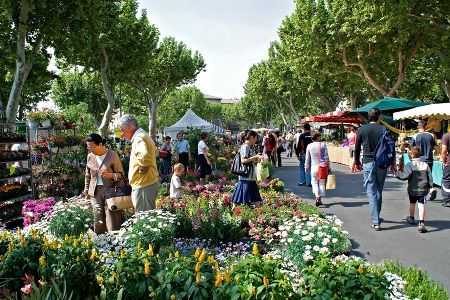 carpentras market