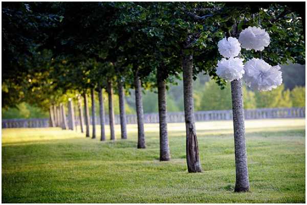 wedding trees