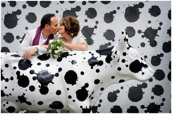 wedding cow