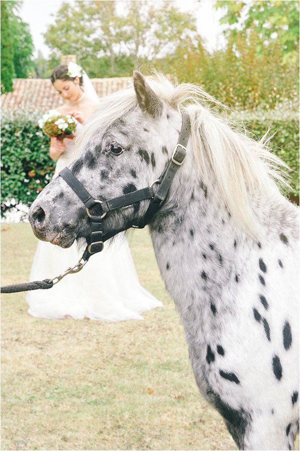 equestrian wedding_0025