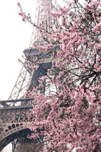 Champs de Mars