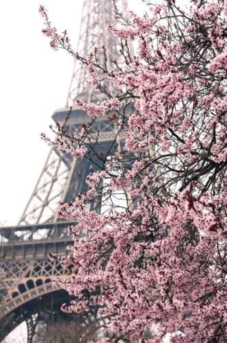 Champs de Mars honeymoon in paris