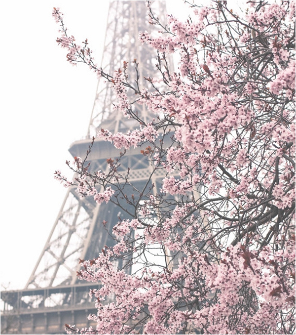 Visiting Paris in Spring