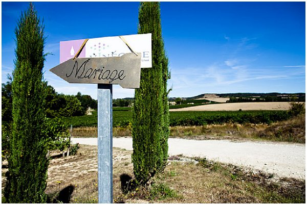vineyard wedding France
