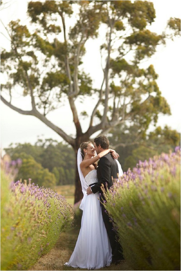 lavender field wedding