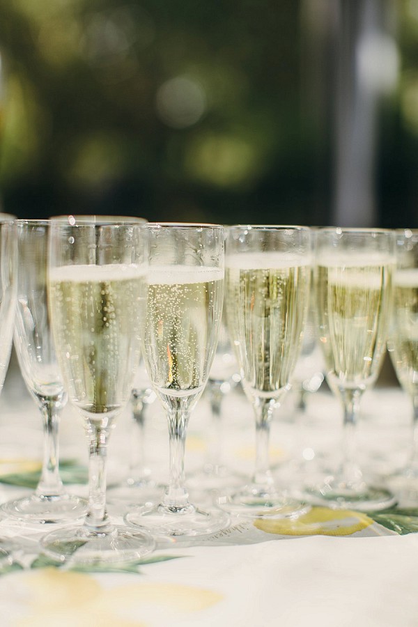 Champagne and canapes rustic wedding