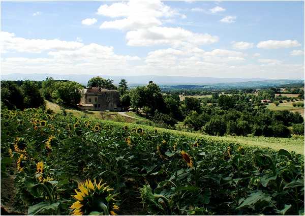 sunflower wedding venue France