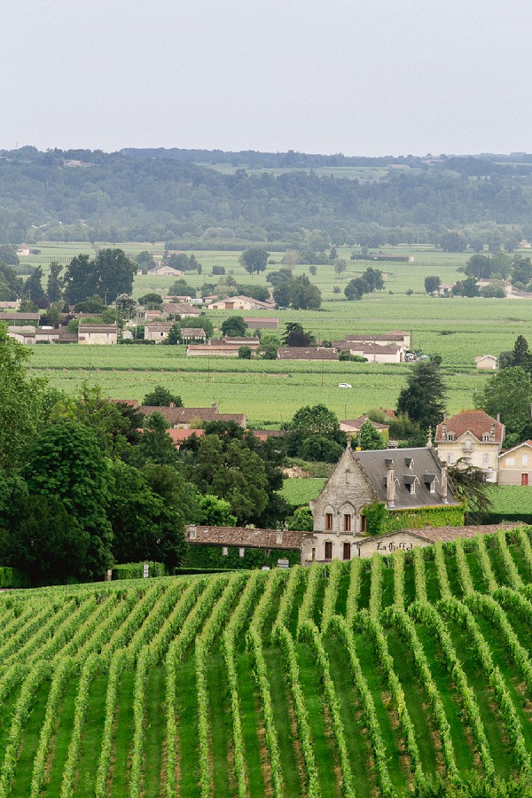 Bordeaux Vineyards