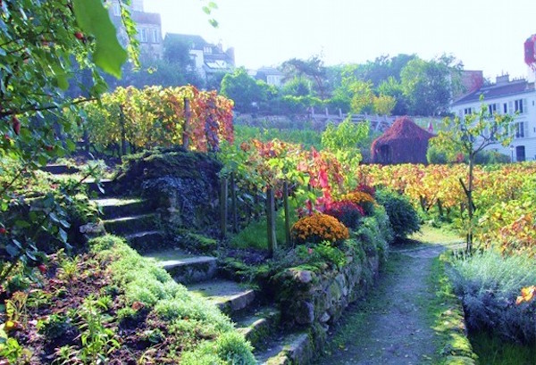 12 French Autumn Wedding Ideas Montmartre Vineyard