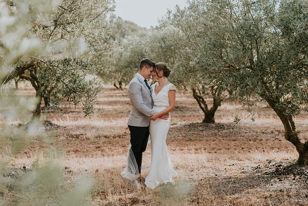 olive tree wedding