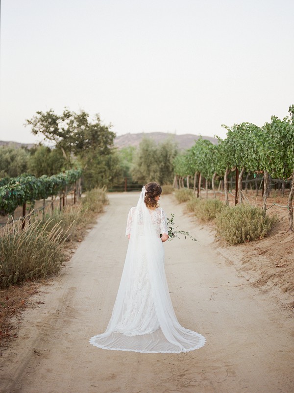 wedding veil photo