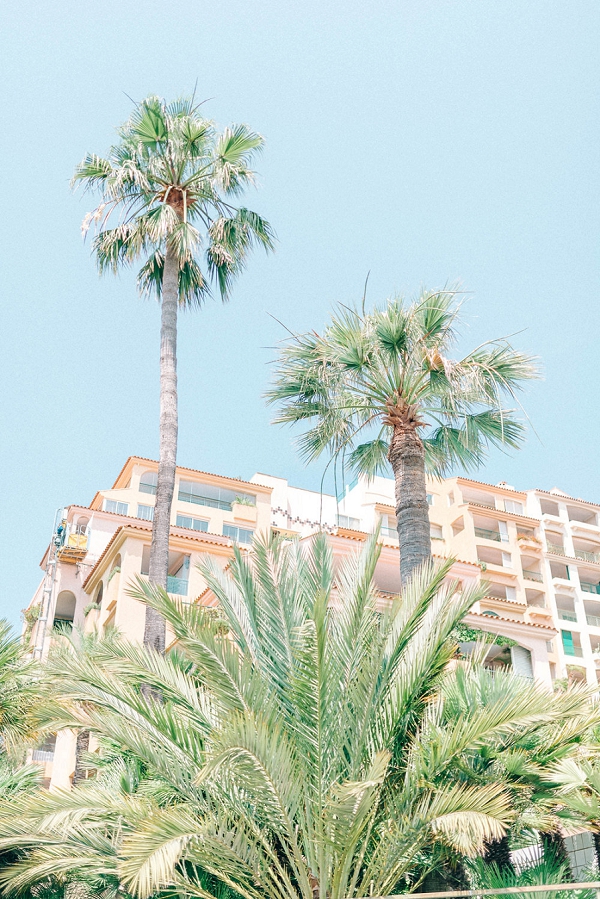 palm tree beach resort france