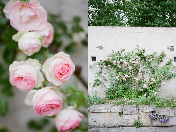 french rose garden