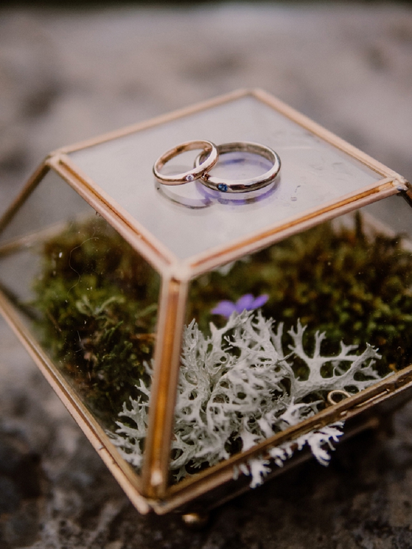 Flore & Zéphyr wedding rings