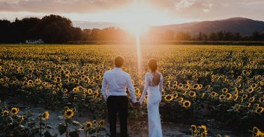 sunflower field wedding