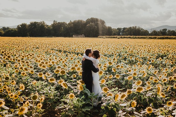 sunflower field wedding photography