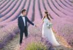 lavender wedding couple