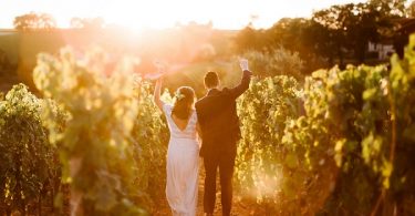 golden hour vineyard photos