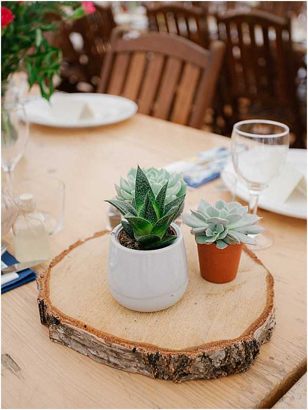 plants as wedding table centres Images by Alexander J Collins