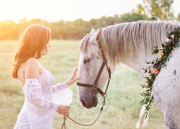 Bride pats horse with flower garland around it's neck