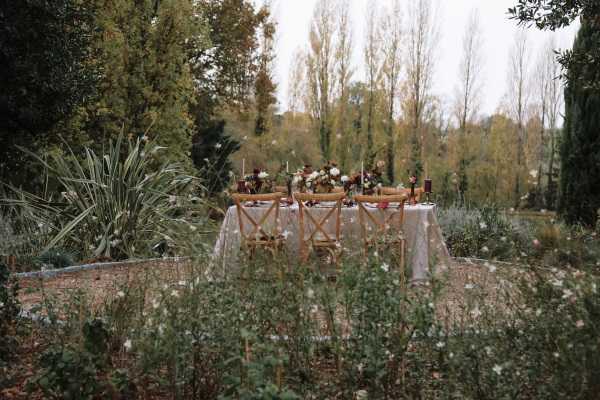 bridal table in the garden surrounded by daisies and dressed in merlot colours