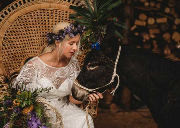 bride holds the reins of a brown donkey