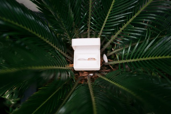 Ring box open with his and hers rings on a palm leaf