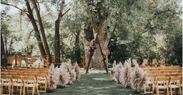 pampas grass wedding boho