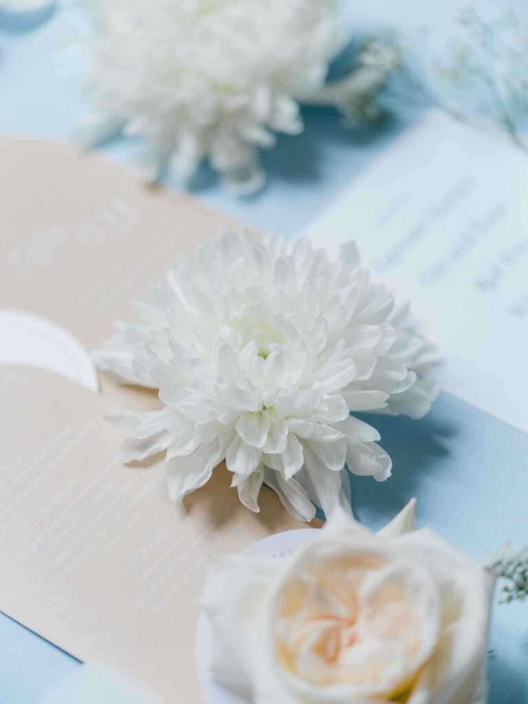 Chateau de brives bordeaux vineyard wedding