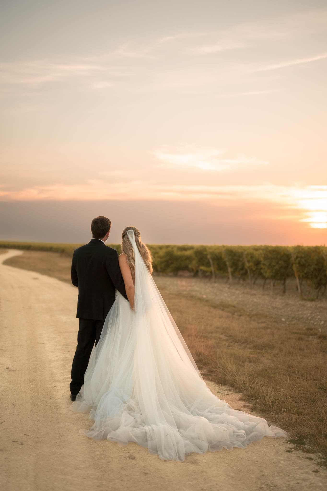 Bride and groom walk away on vineyard path at sunset, tulle train and cathedral veil trailing behind