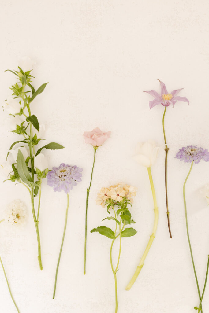 wedding palette color